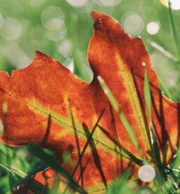 autumn equinox