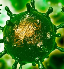 How to defeat coronavirus?